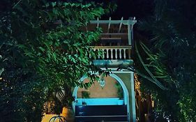 Danae Villa